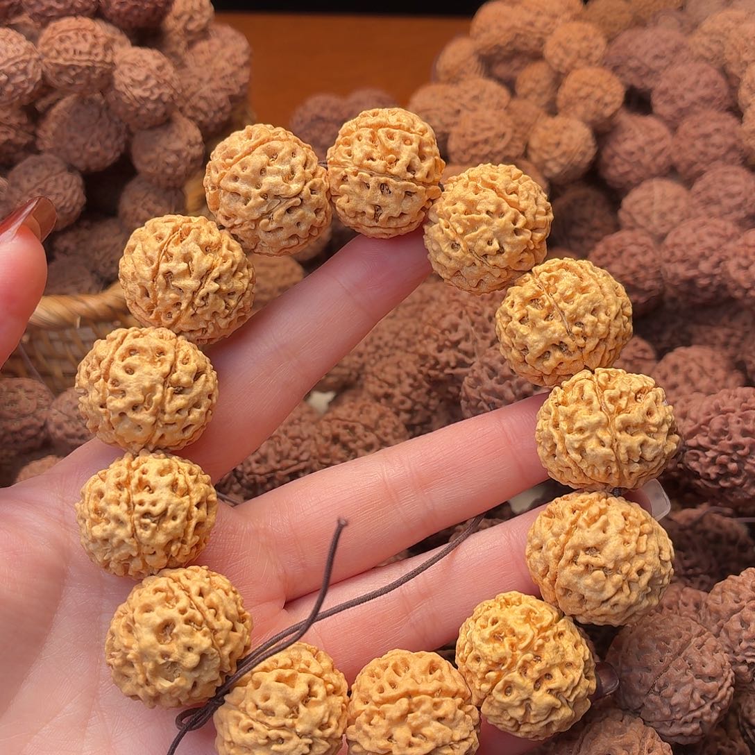 手串金刚菩提七瓣 23   编号31