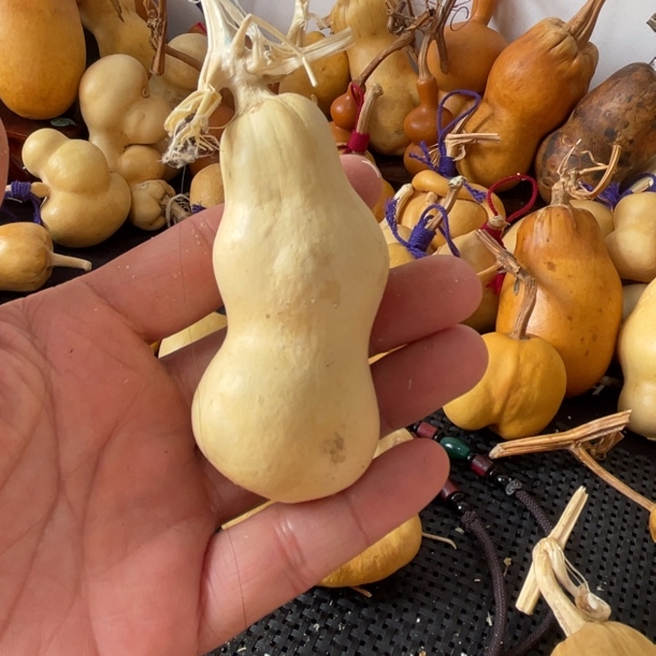 @***郎葫芦哈哈哈哈哈哈哈哈哈哈