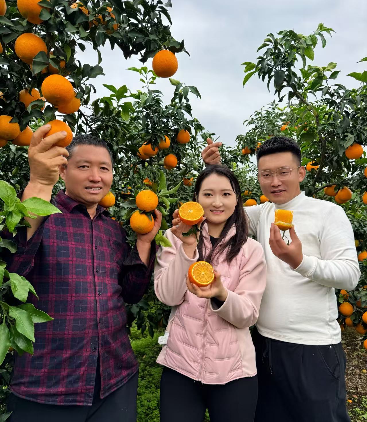 四川眉山爱媛果冻橙38号皮薄肉厚汁水多口口爆汁