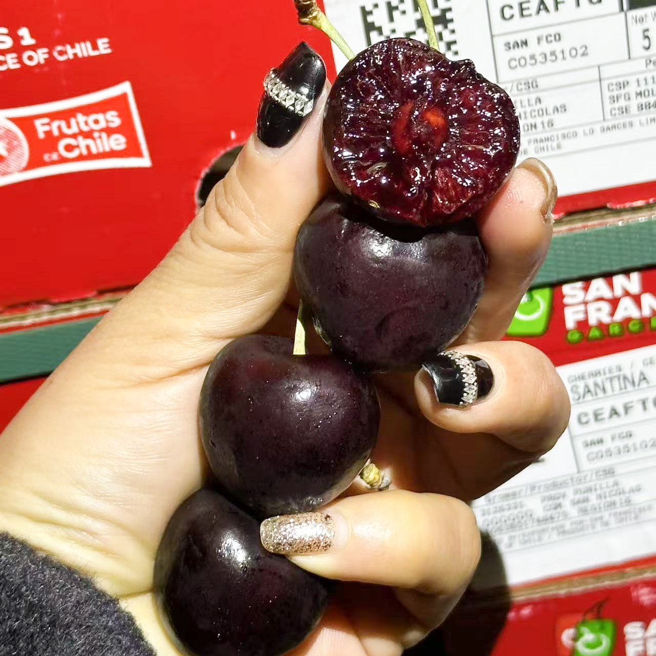 智利进口车厘子海运3JD当季新鲜内附果径卡5斤原装/2斤分装桑提娜樱桃智利共和国