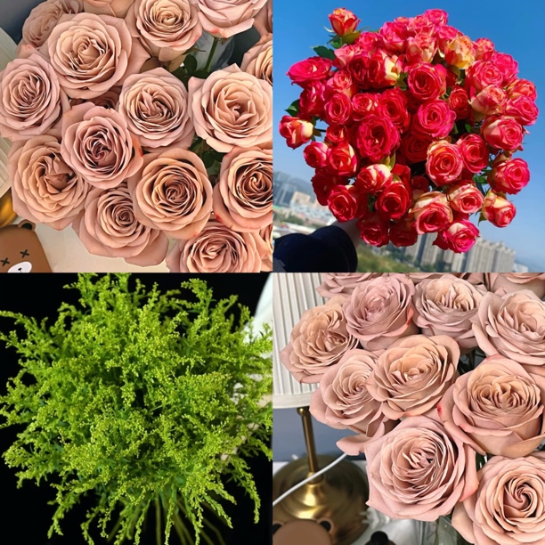 云影优选【卡布奇诺7支+爱丽丝多头泡泡5支+登高草5支】云南鲜花批发次日达包邮