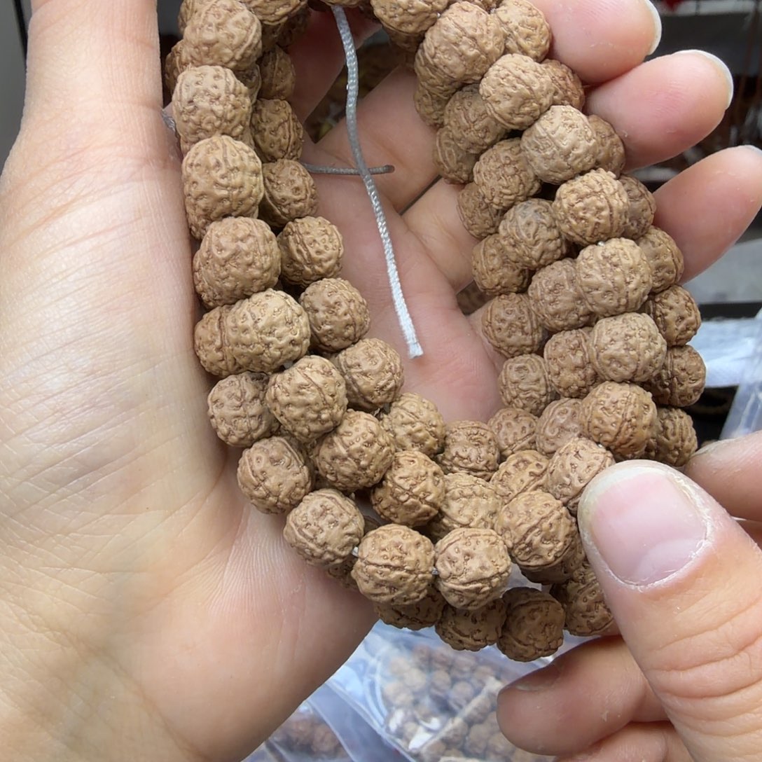 吊坠金刚菩提嫁接一代龙1条保全品手持