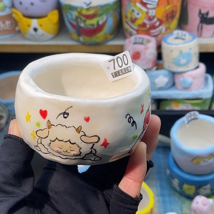 大舅生石花肉锥700
