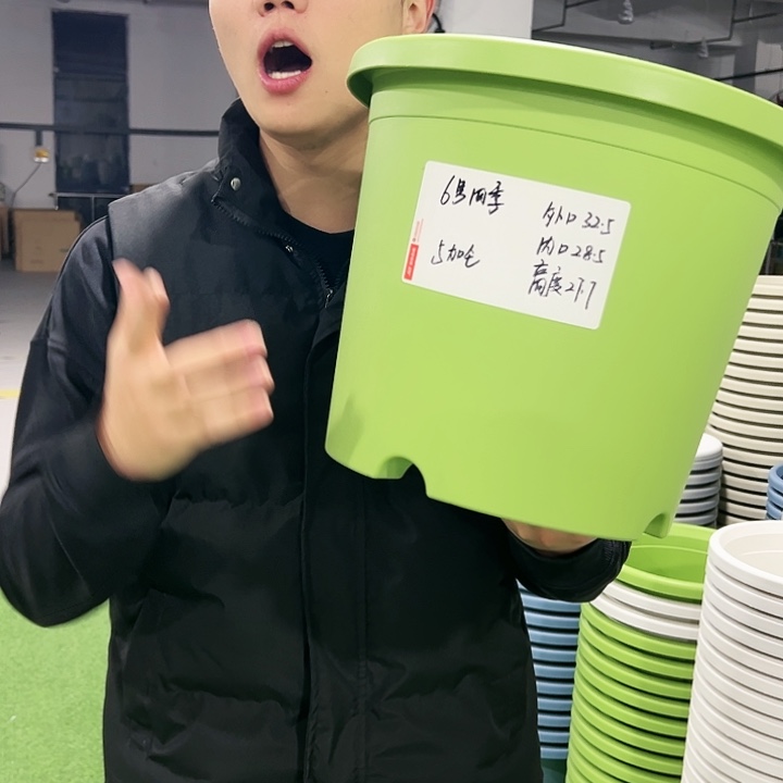 特价6号口32高27.7果绿色7只无托