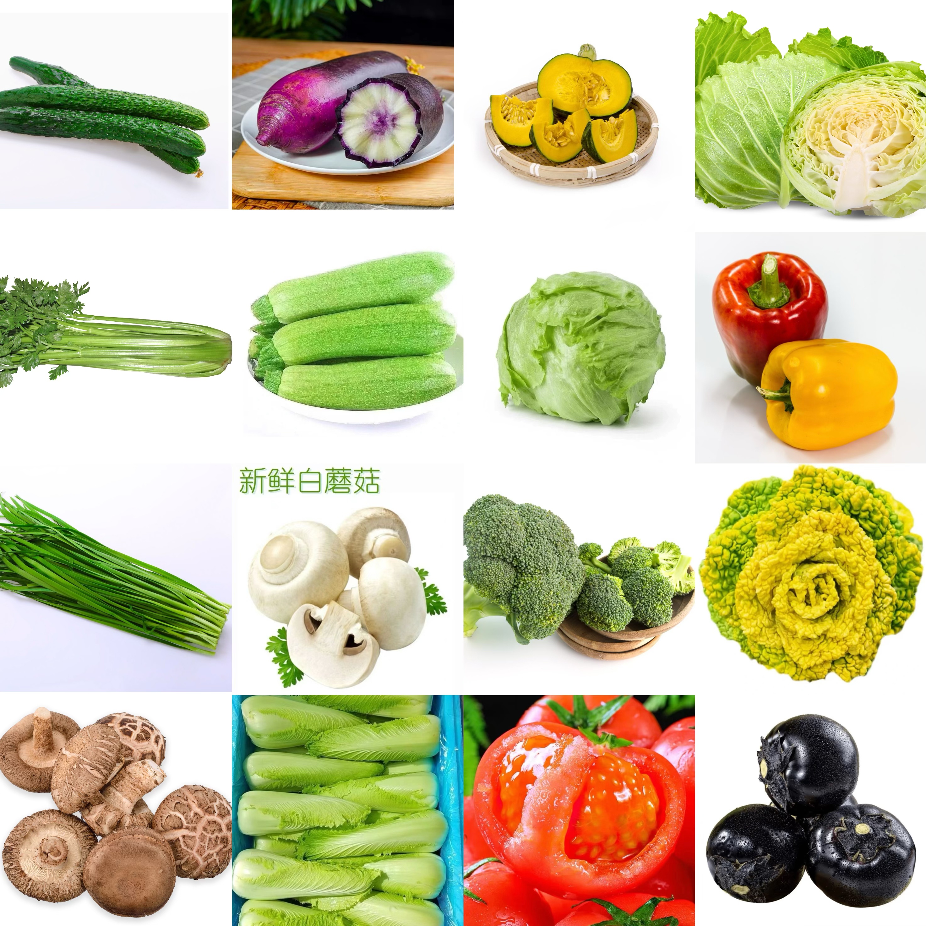 【优雅绿源家庭农场】蔬菜组合大礼包（16种）