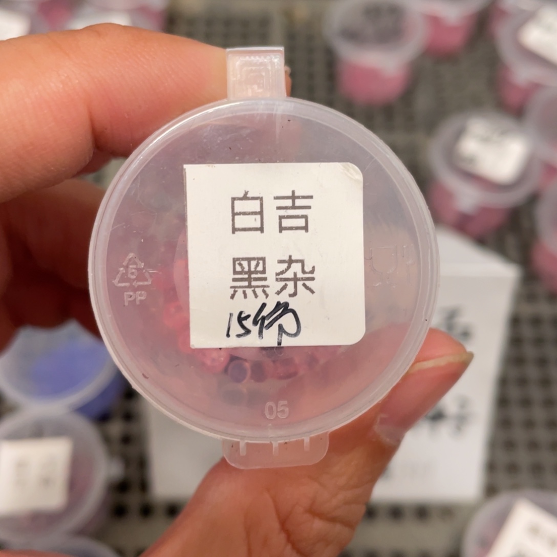白吉✖️黑杂20粒，好看好看！