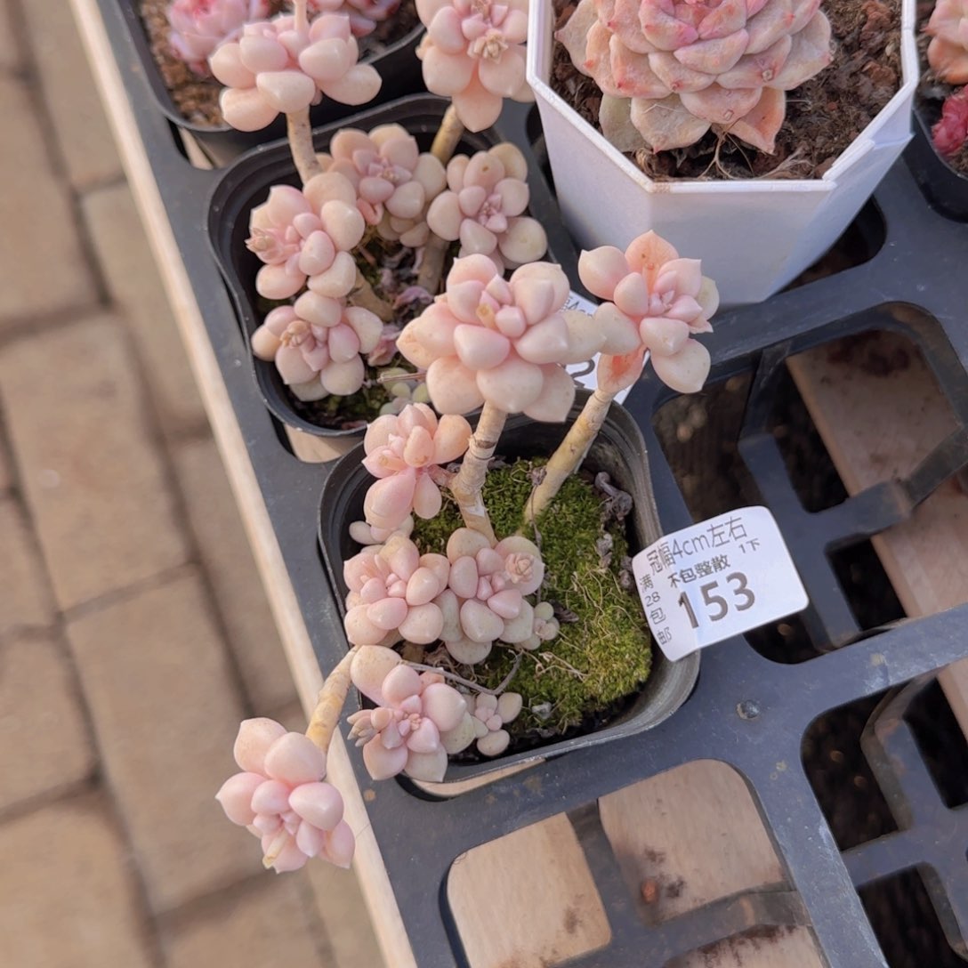 全场满28包邮零下拍保温