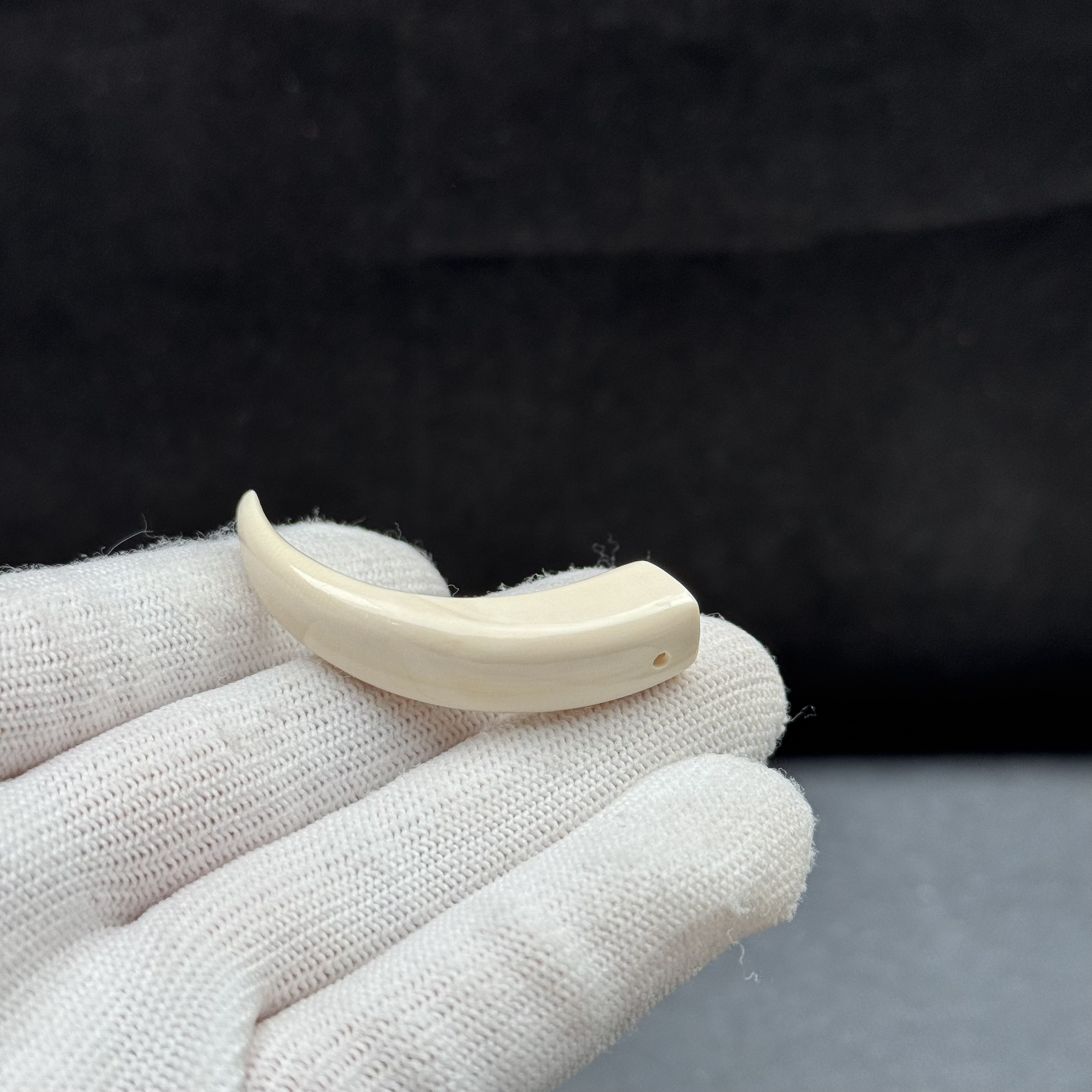 D3940天然猛犸牙 牙尖 48mm支持鉴定 假一罚四