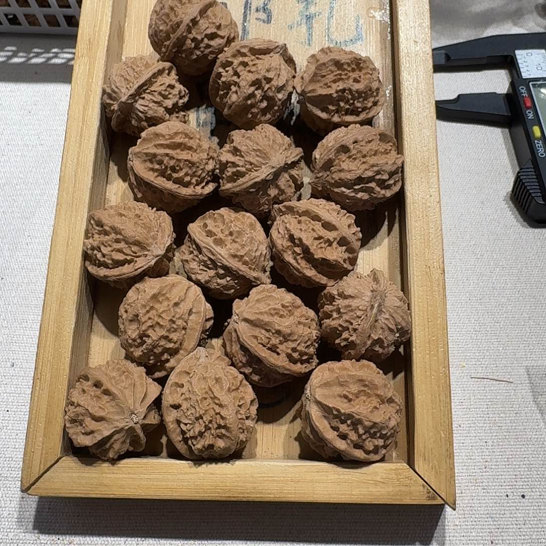 核桃手串/手链28号边26手串