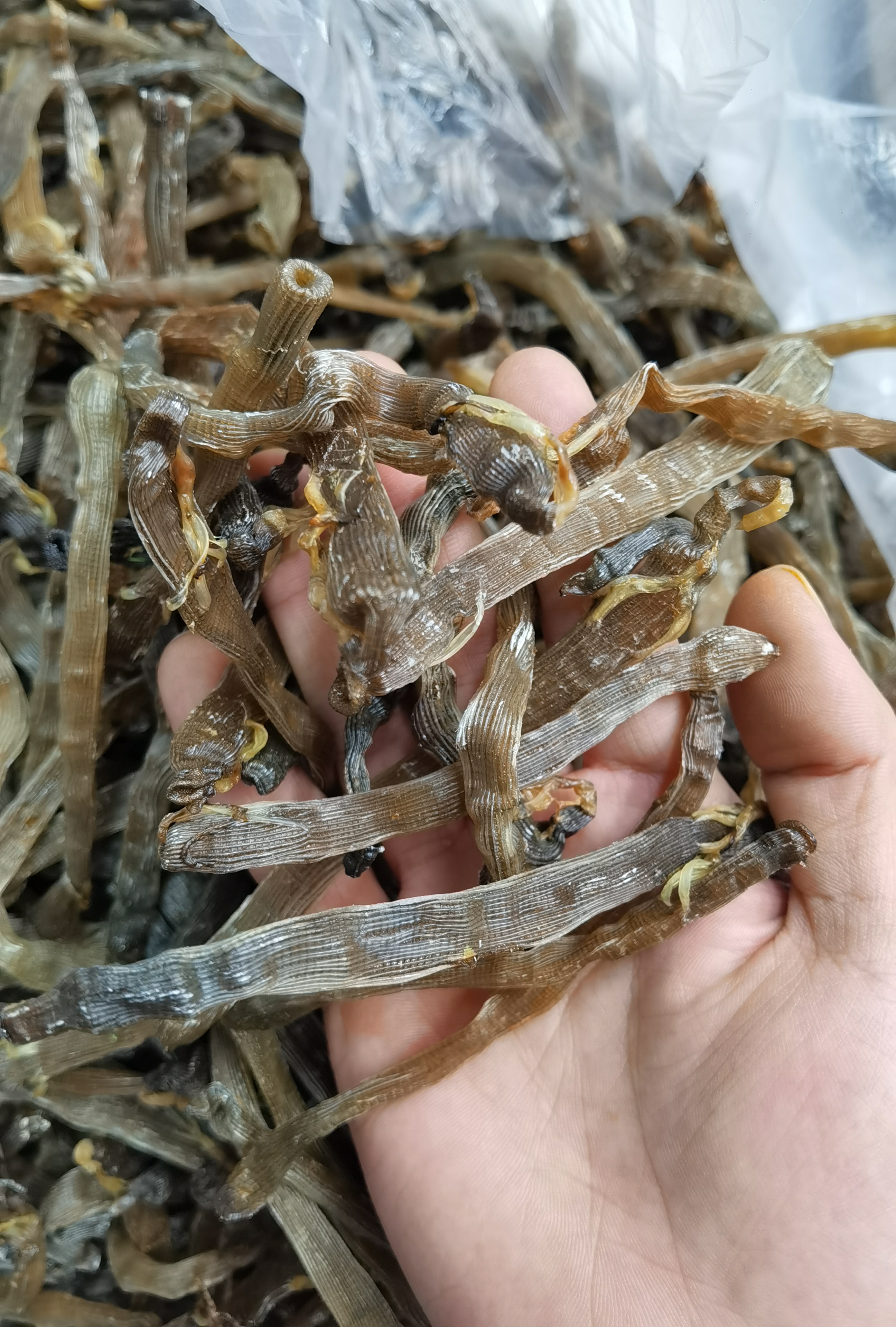 湛江深海黑沙虫 深海黑沙虫干 煮粥煲汤盐爆