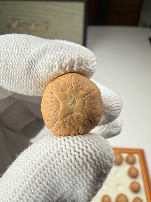 果冻料凤眼菩提三通正五星尺寸17.6mm皮质密度好010