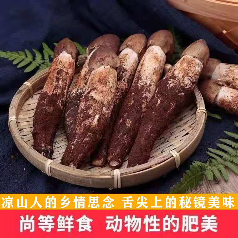 假一罚十大凉山野生鸡枞菌新鲜火把鸡枞当季野生菌荔枝菌顺丰空运