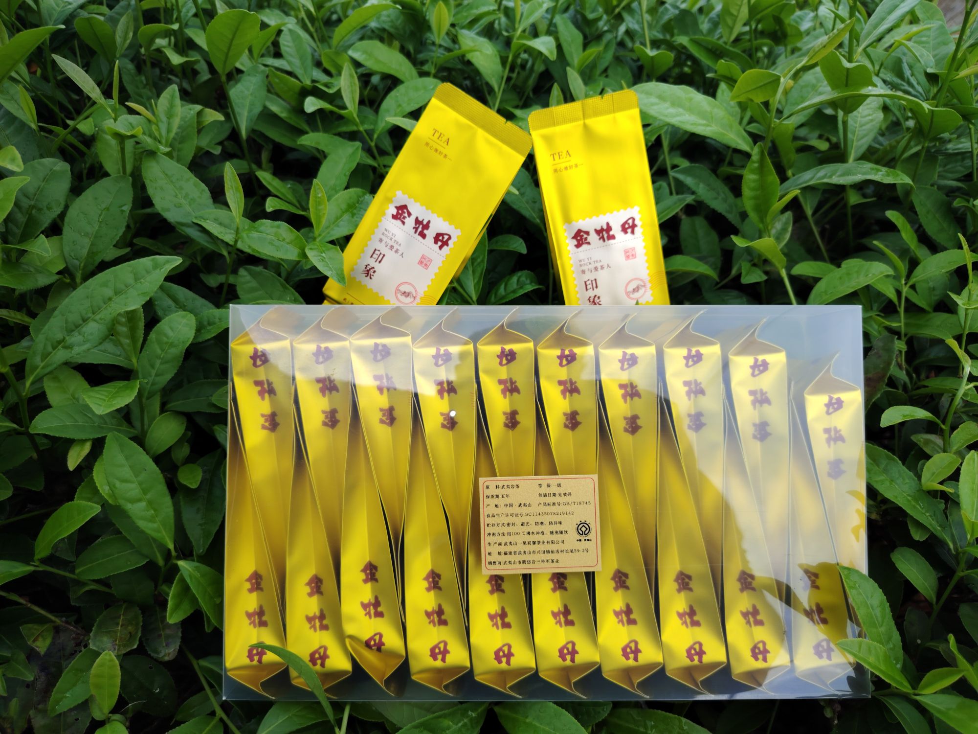 武夷岩茶金牡丹一盒20礼盒装泡166g