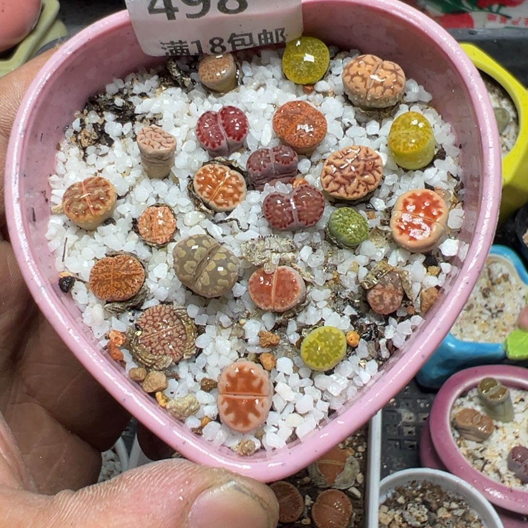 【闪购商品】 498。    