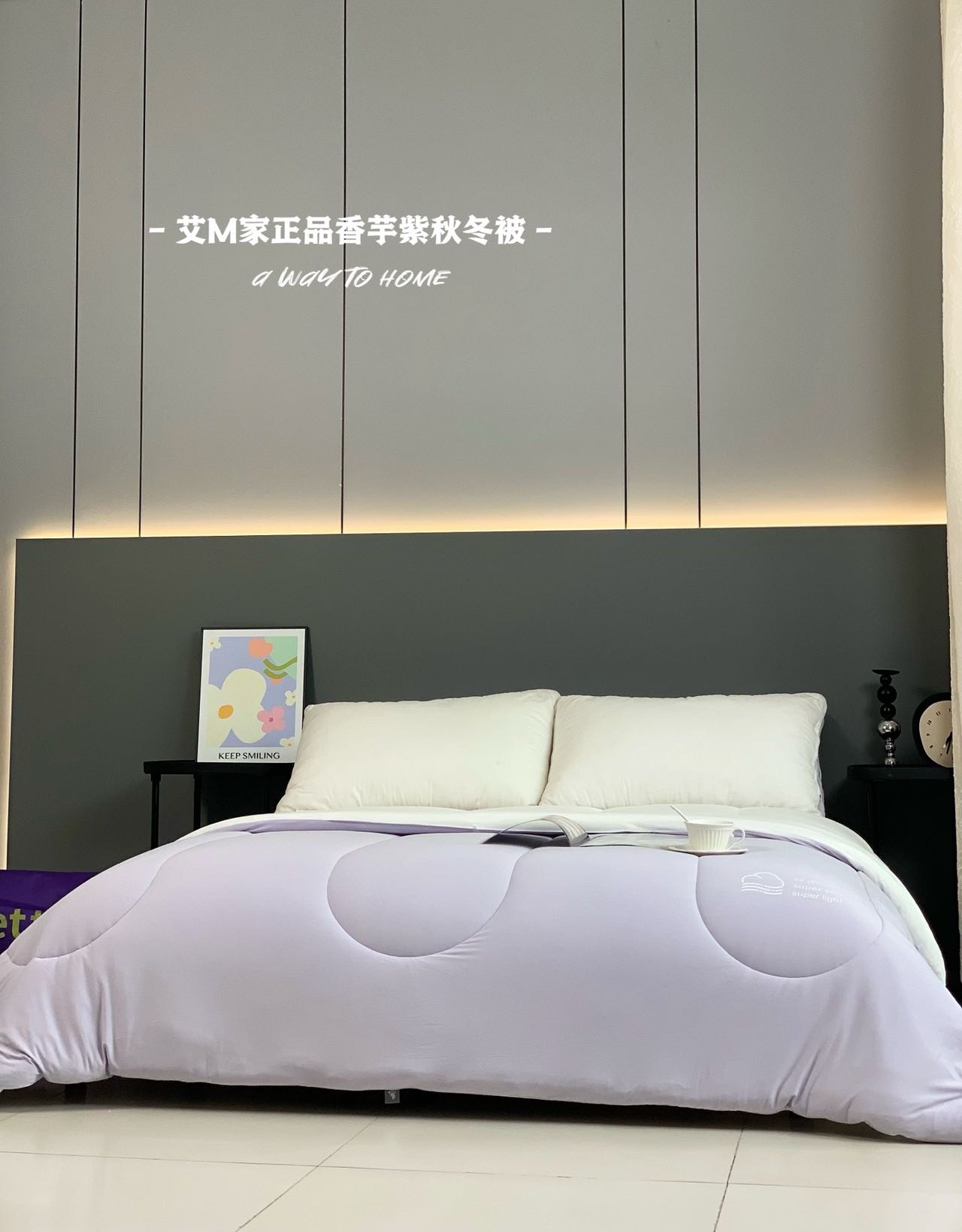 艾家云朵亲肤柔软秋冬被