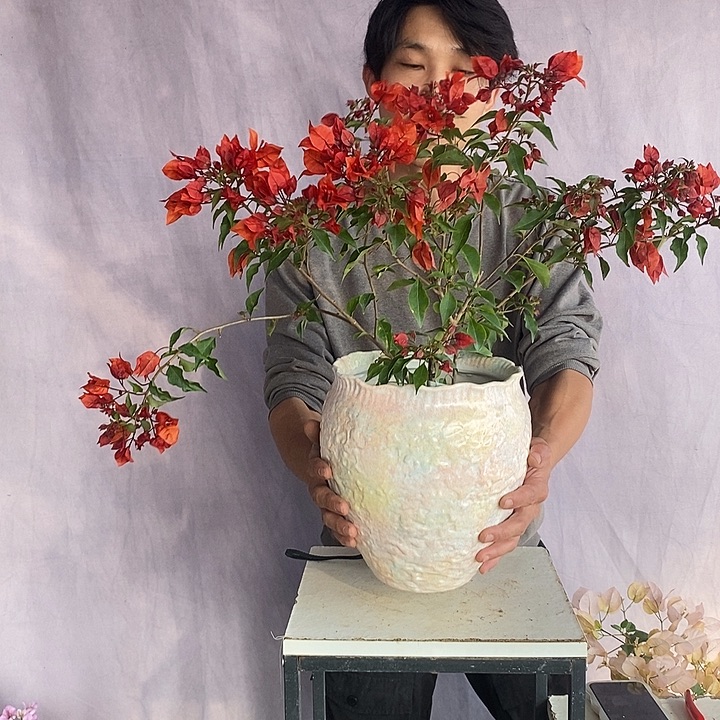 大量花朵（建议范围：8朵-15朵 或40%以上）热火桑巴