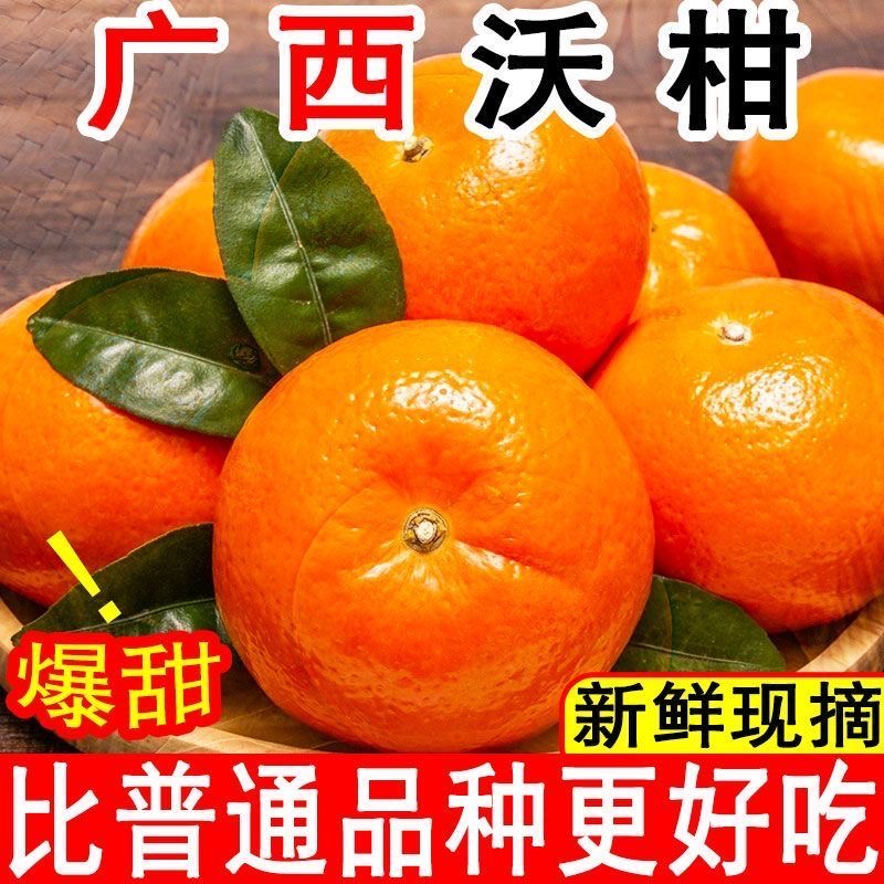 【产地直发】广西武鸣沃柑桔子应季柑橘新鲜水果薄皮多汁清甜可口