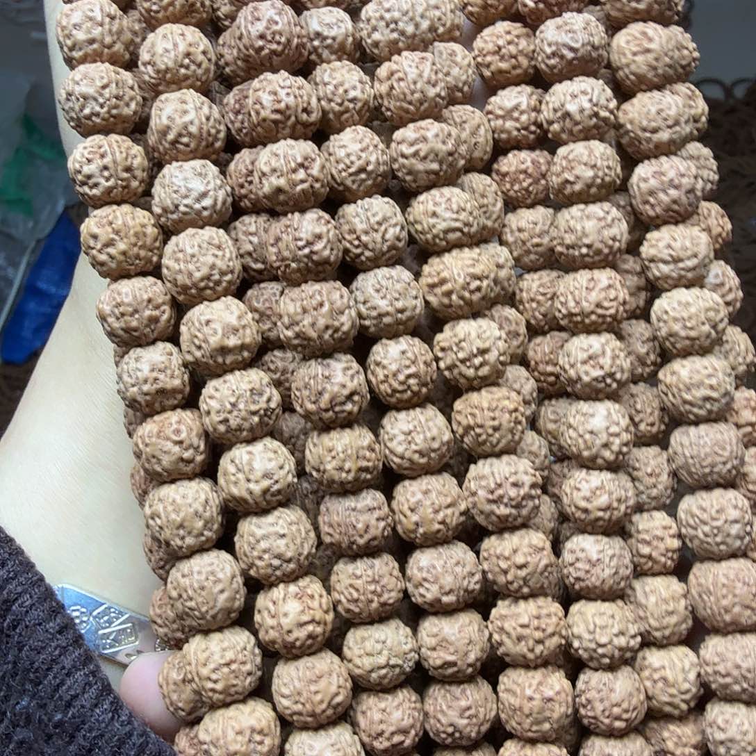 吊坠金刚菩提一代盘龙1条  非全品