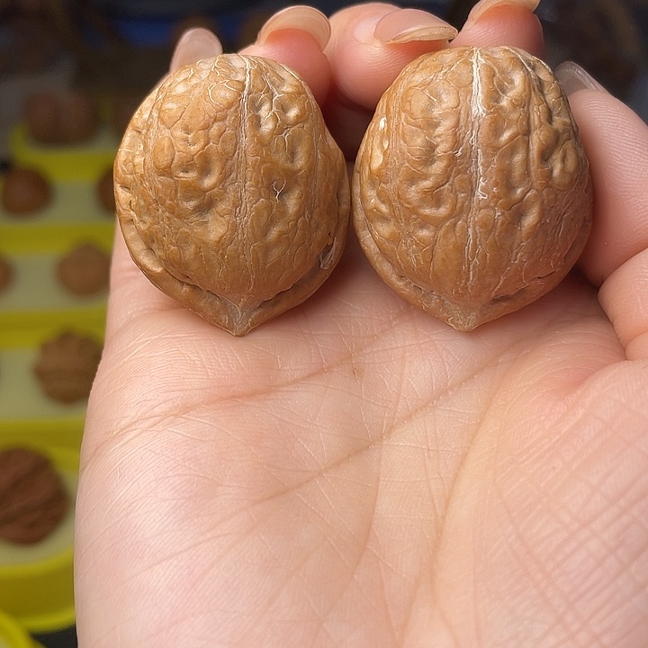 凡***️吊坠文玩核桃官印