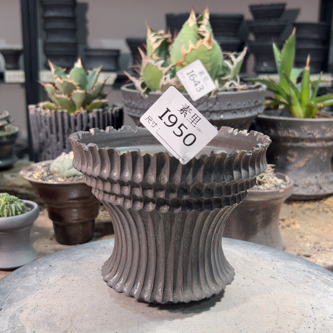 景德镇素里手工内口14高12