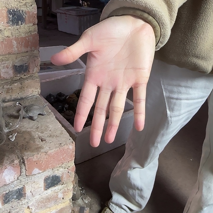 茶壶紫砂坭兴陶柴烧