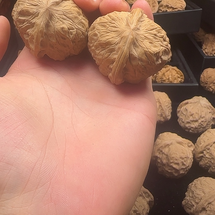 妞***子龙脊菩提吊坠啊啊啊啊啊啊南瓜4