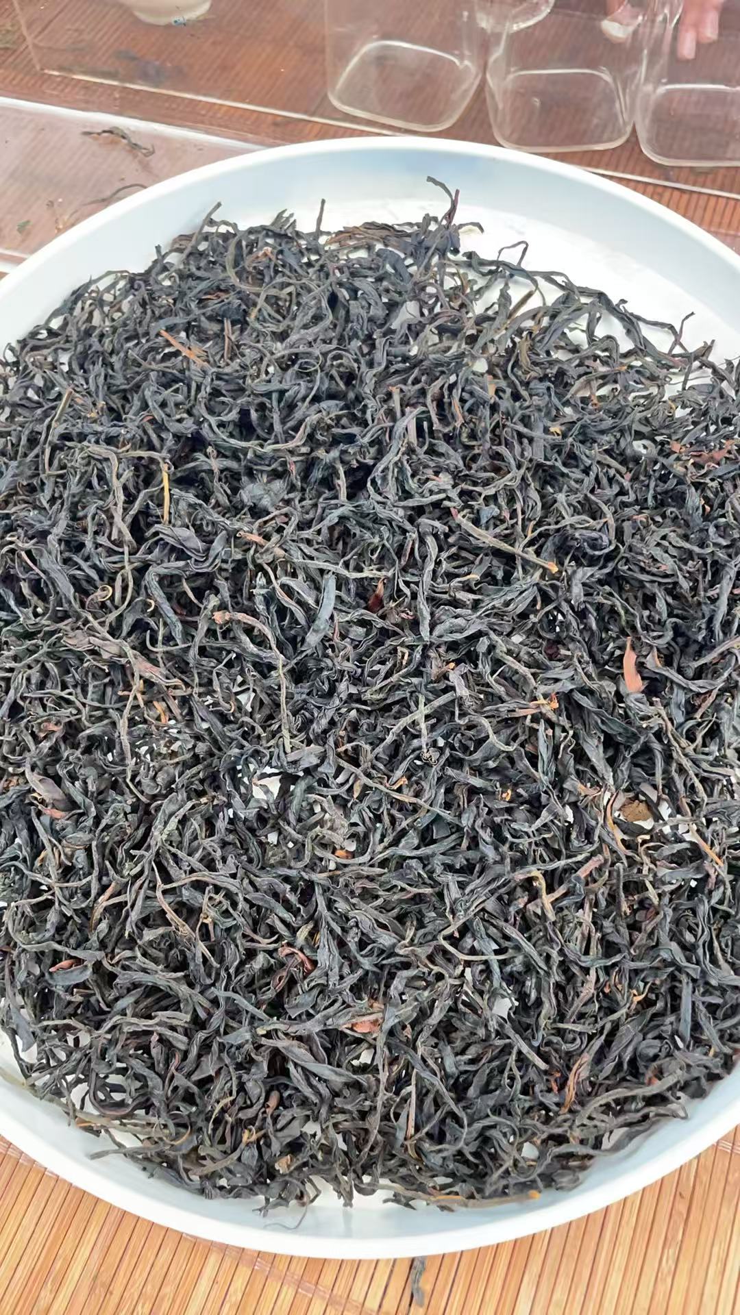 2025年原始森林保护区单株野红散茶801SKA003hy19-168