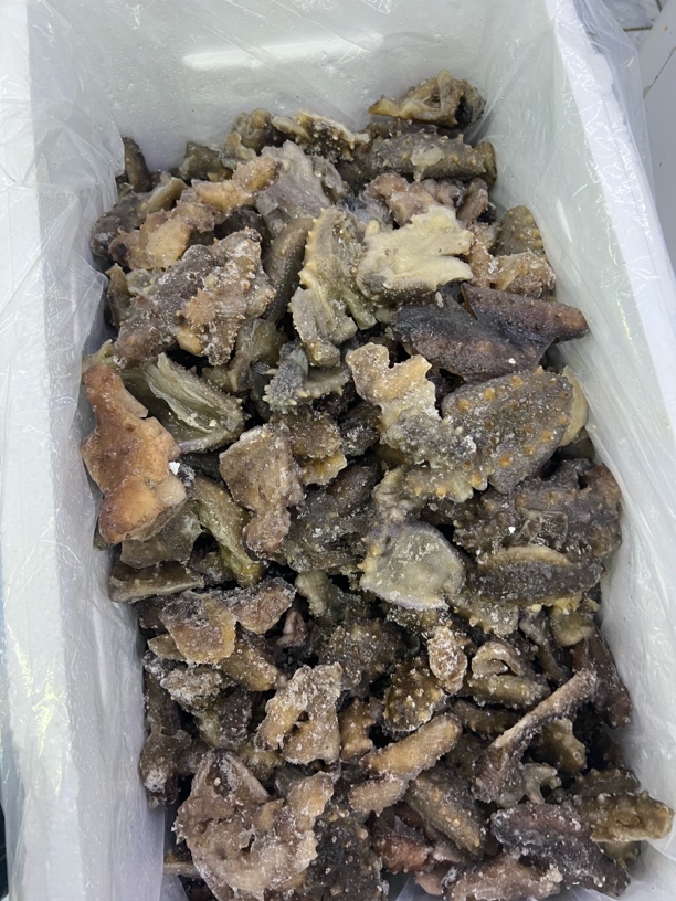 鲜食大连海参(微残！有破半)