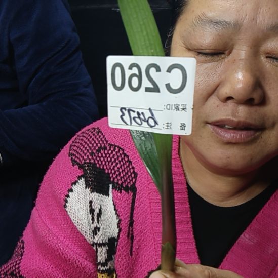 于***芳完全开放0260026000