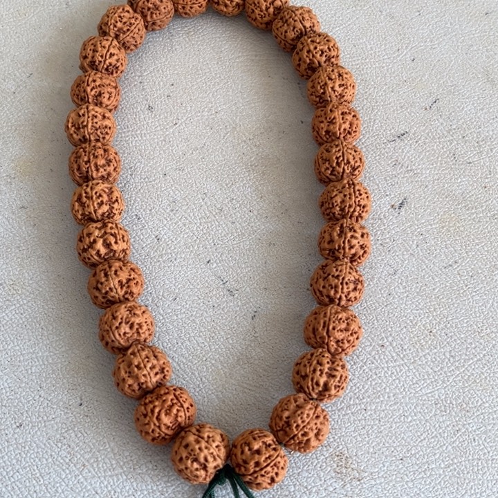 手串金刚菩提19mm蜂王开播福利6@1801