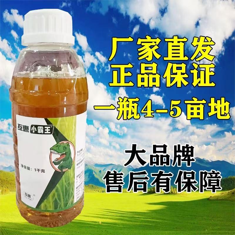 草光光-果园茶园小飞蓬芦苇茅草通用防治高生长效绿色叶面肥3
