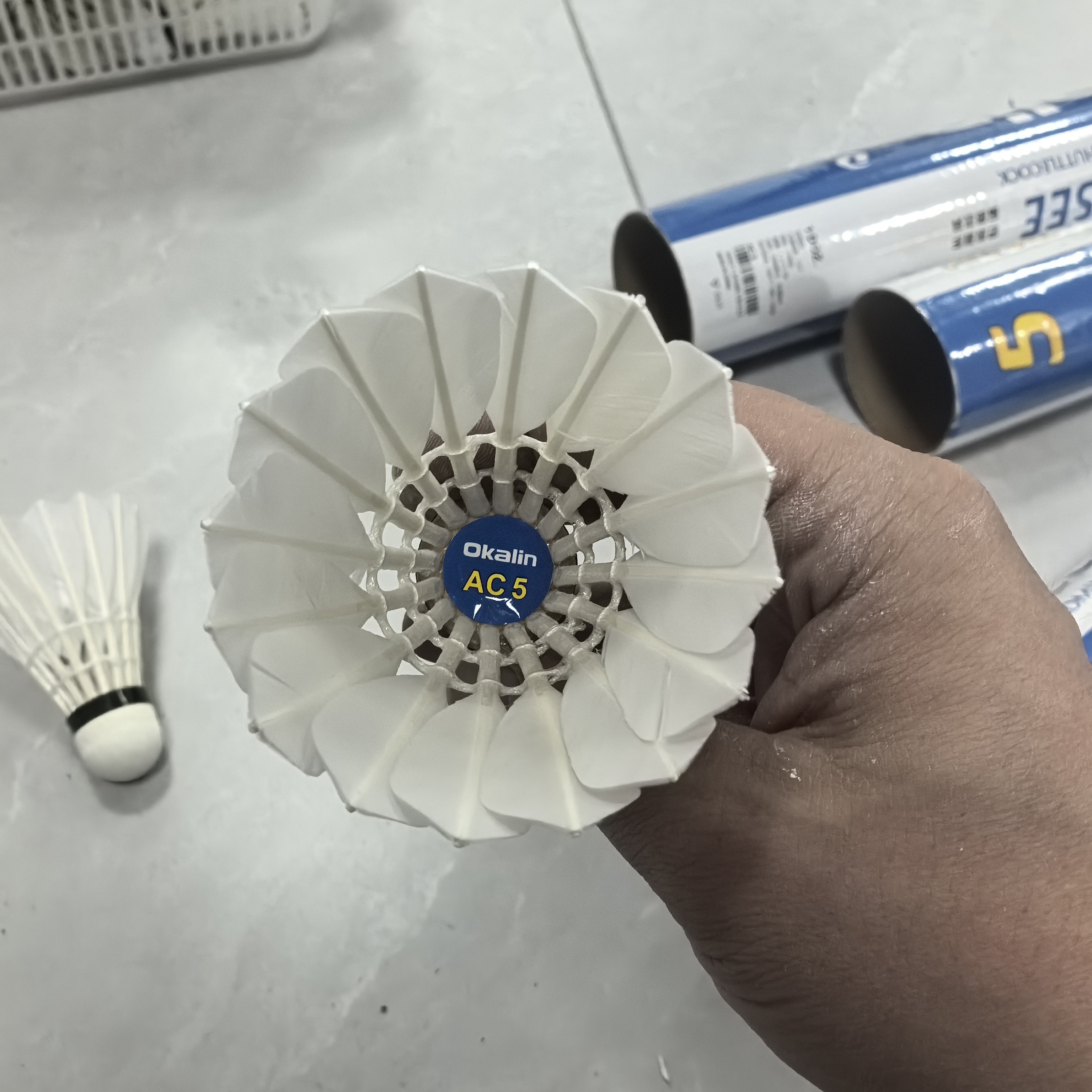 羽翊精修复耐打羽毛球 澳加林系列