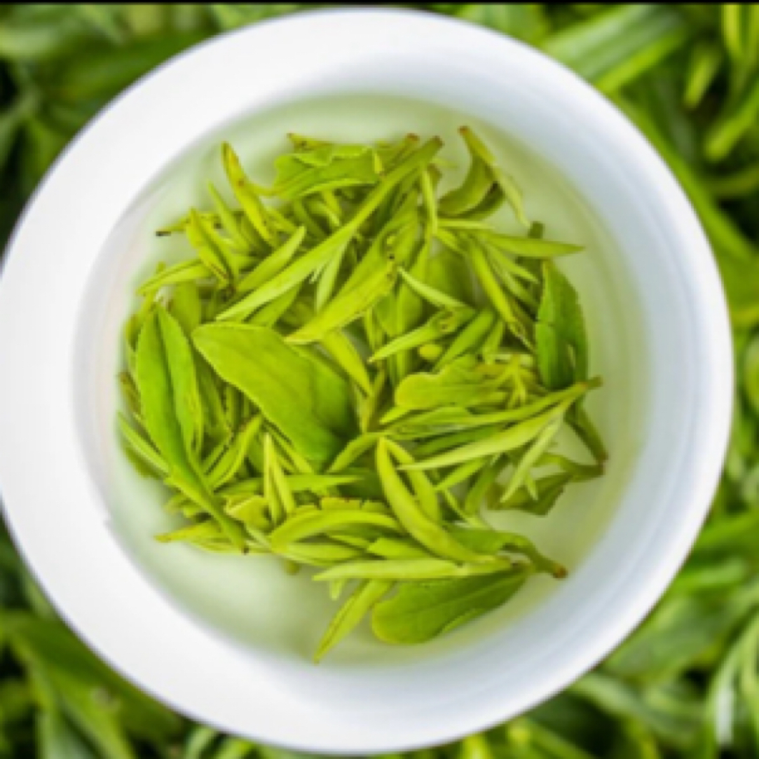 桐柏玉叶桐淮茶业2025明前茶滋味鲜爽醇厚非遗手工炒制顺丰包邮