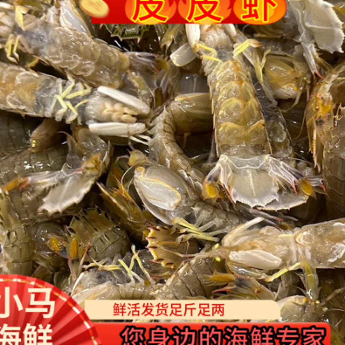 本地大片皮皮虾混合3斤