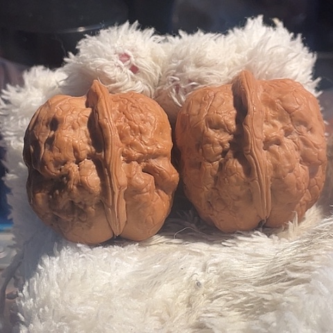 刘***了文玩核桃把件金蟾疙瘩包带彩修尖39