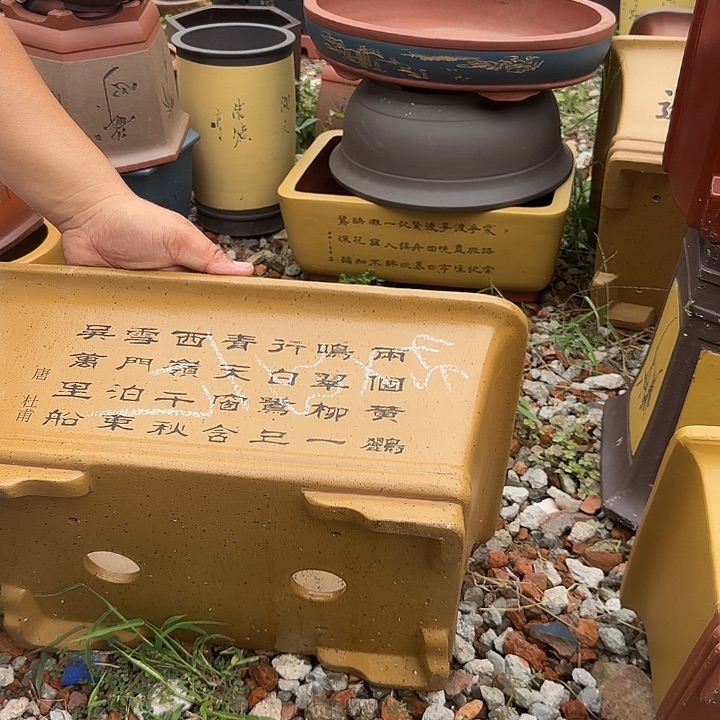紫砂花盆紫砂花盆