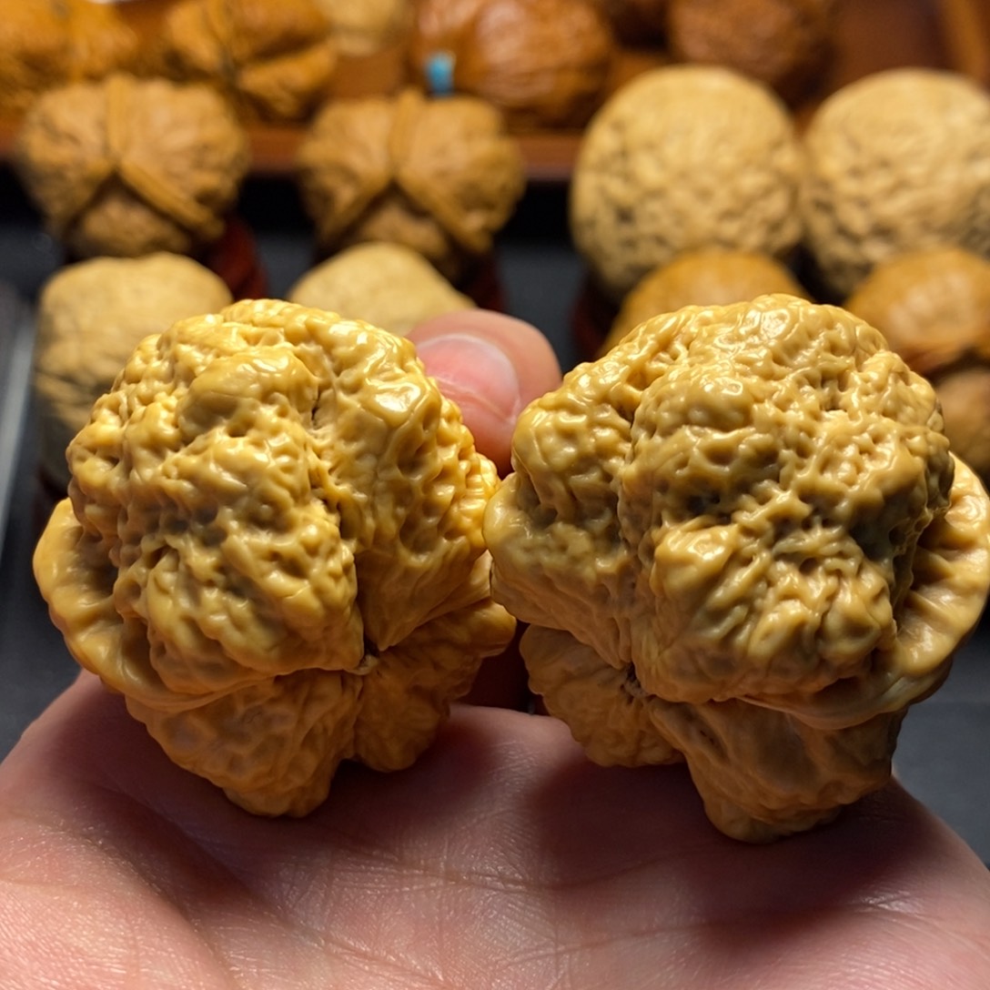 文玩核桃把件40尺蝴蝶蟾