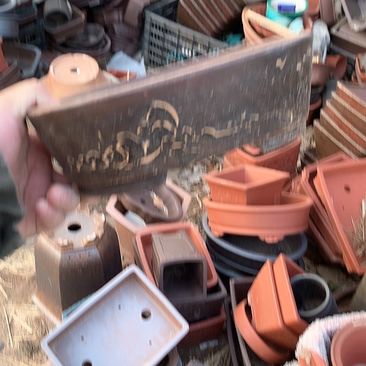 紫砂没有那么重要的人怎么可能