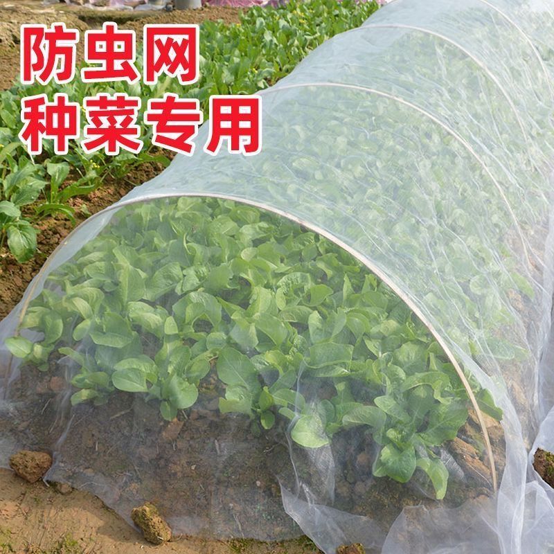 防虫种菜专用80目防虫网加密纱网菜园防护菜地种菜大棚专用网60目商品图