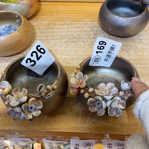 其咯哦哦哦哦哦哦哦咯咯哦哦咯