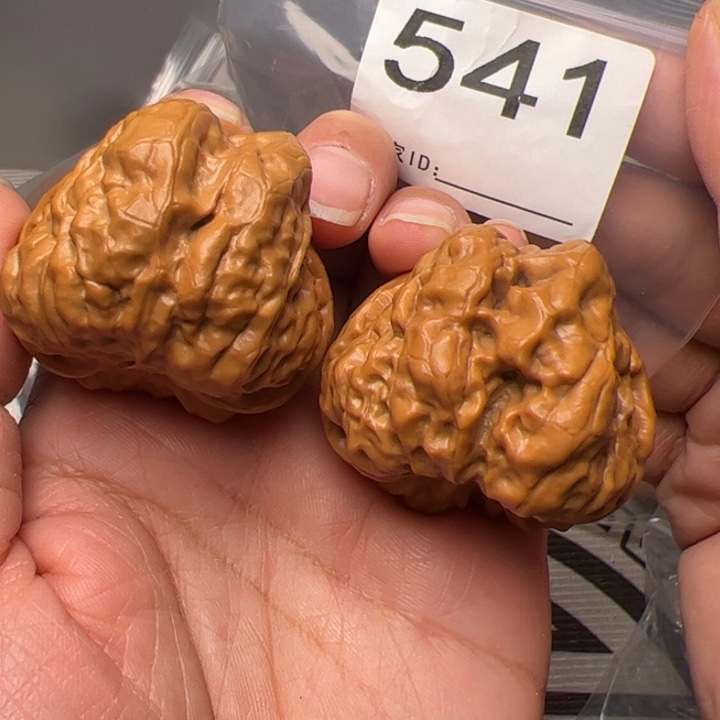 核桃43边43肚三角肌肉蛙541