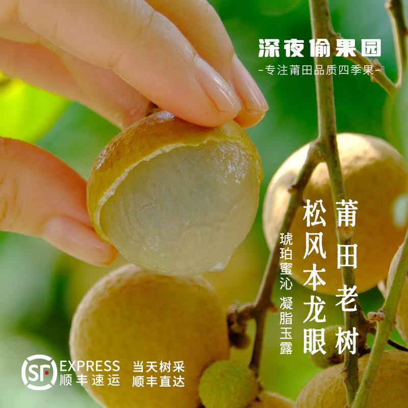 （顺丰包邮）莆田龙眼 松风本龙眼 脆嫩爽口 现摘现发 （中大核）