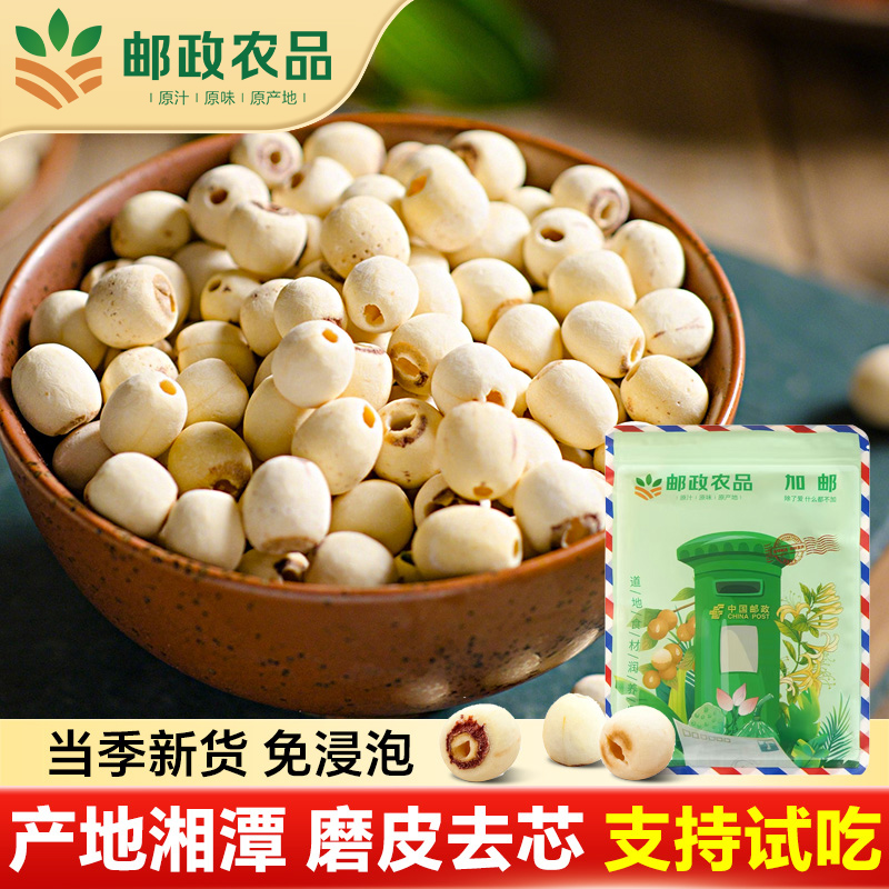 【邮政农品】白莲子湘潭去芯莲子磨皮新鲜正宗煲汤煮粥绿豆莲子羹