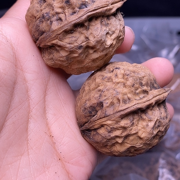 文玩核桃吊坠  174