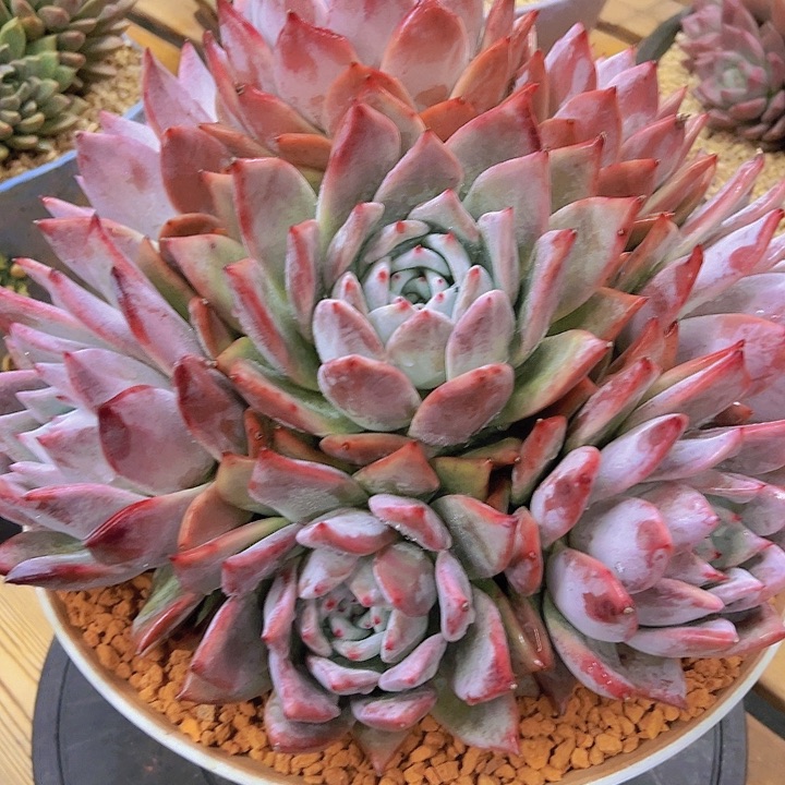 888888888888888888888888888