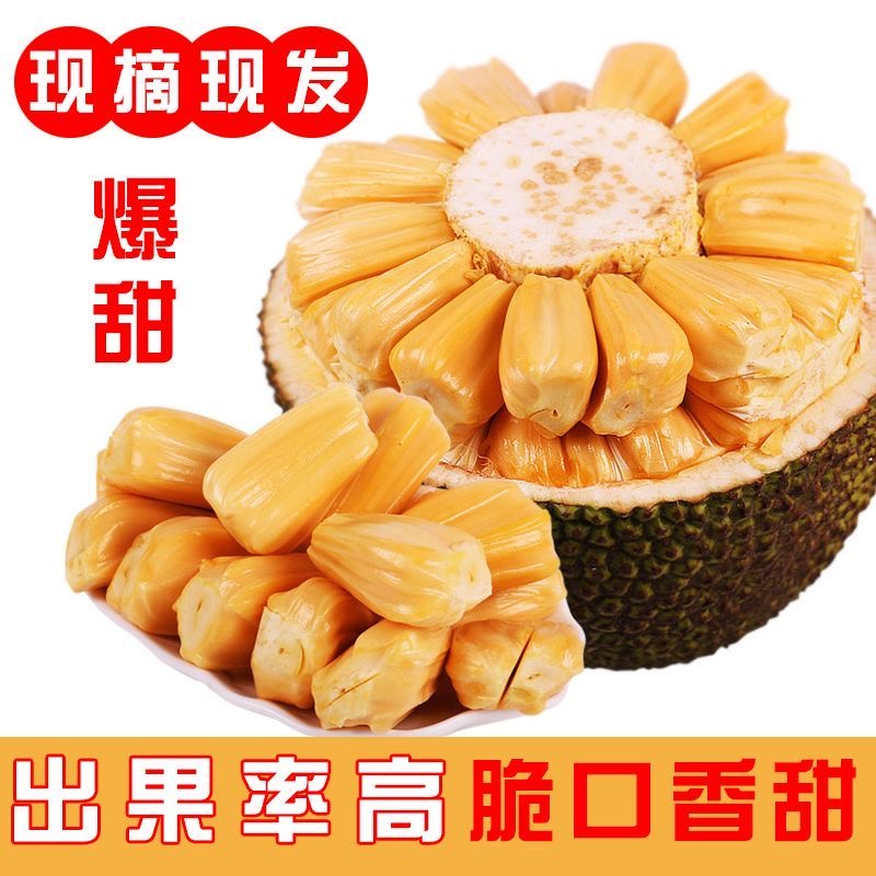 越南进口菠萝蜜 自然成熟果肉饱满香甜  产地直供 一个也是批发价