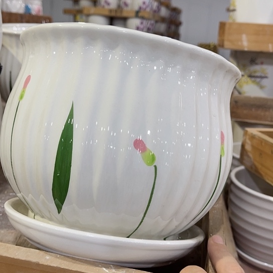 多肉绿植陶瓷花盆