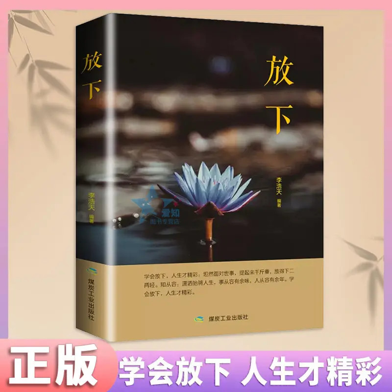 放下 人生哲学通俗读物 学会放下人生才能更精彩坦然面对世事