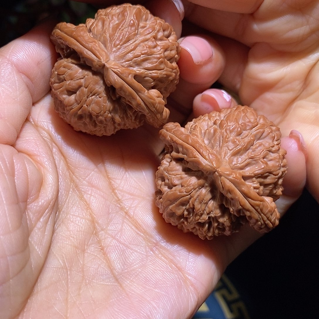 文玩核桃把件白狮子42