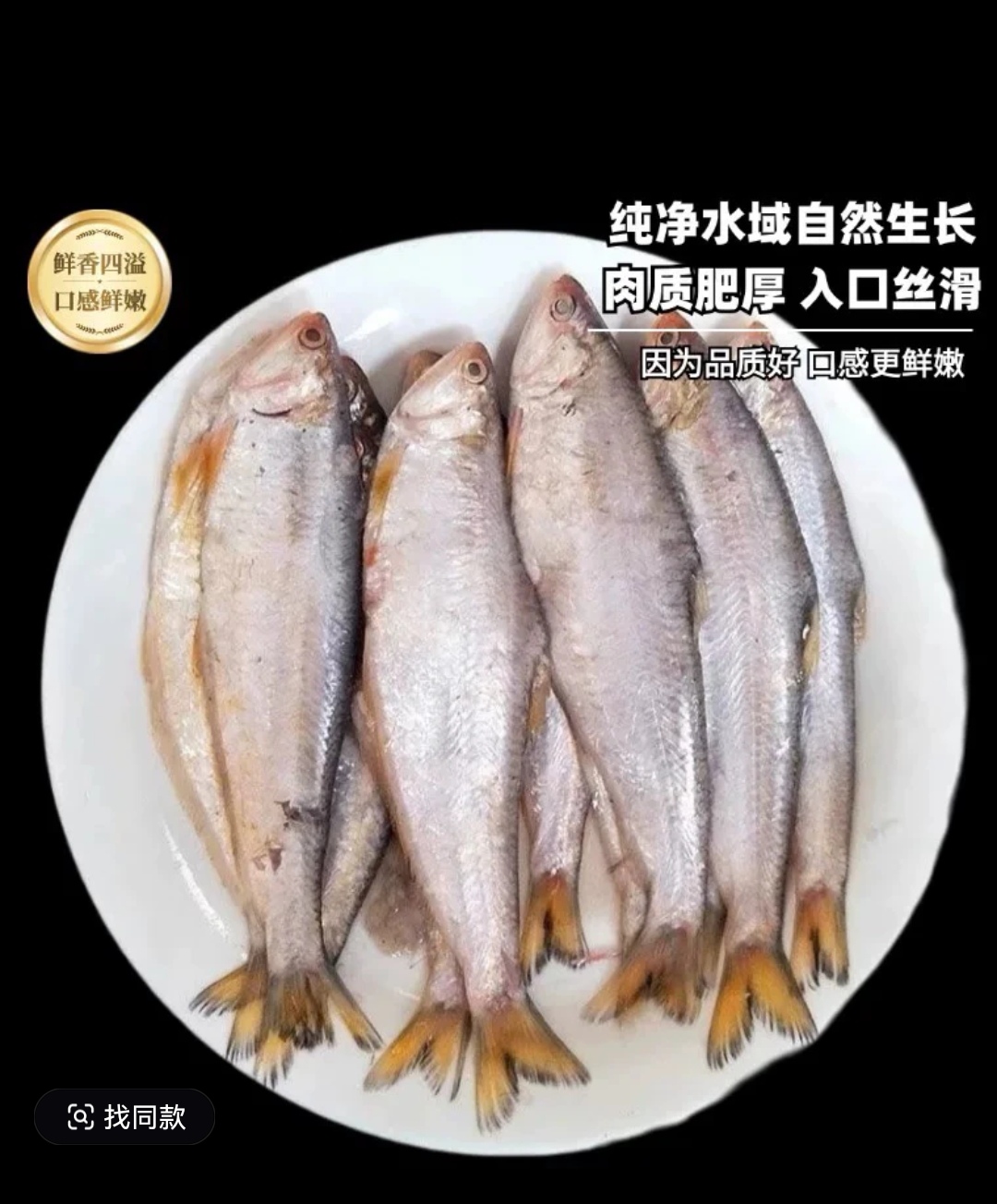 大连发货 野生油扣鱼（顺丰发货）